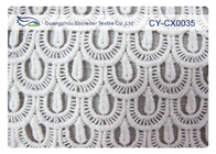 Tela bordada respetuosa del medio ambiente del cordón para la ropa interior, ropa interior CY-CX0035