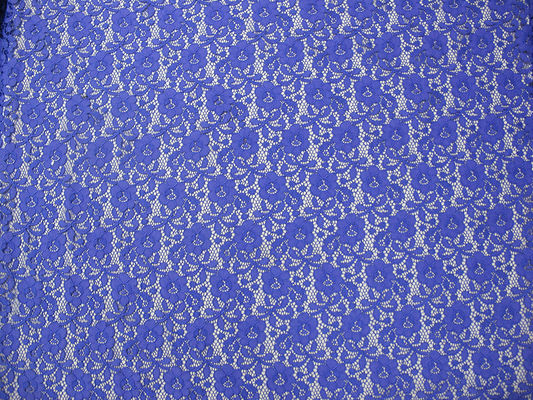 Mini floral de Digitaces de la tela de nylon azul del cordón para señora Dress