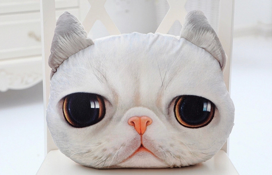 la suavidad de los regalos de la cara del gato 3D rellenó la almohada de la felpa, almohadas decorativas para el sofá